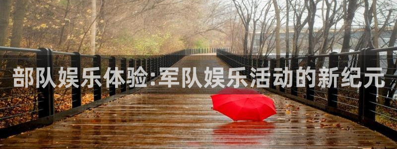 恩佐娱乐：部队娱乐体验:军队娱乐活动的新纪元