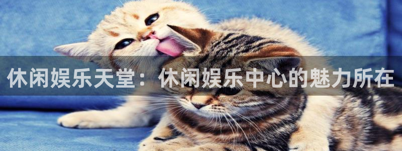 恩佐娱乐：休闲娱乐天堂：休闲娱乐中心的魅力所在