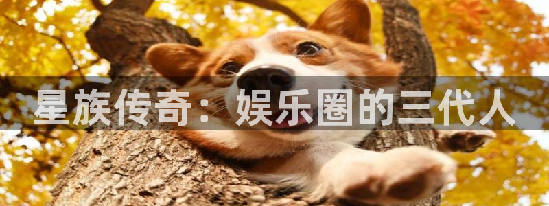 恩佐娱乐：星族传奇：娱乐圈的三代人