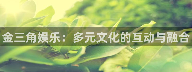 恩佐娱乐：金三角娱乐：多元文化的互动与融合