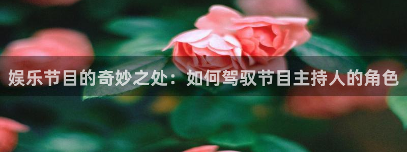 恩佐娱乐：娱乐节目的奇妙之处：如何驾驭节目主持人的角色