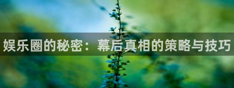 恩佐娱乐：娱乐圈的秘密：幕后真相的策略与技巧