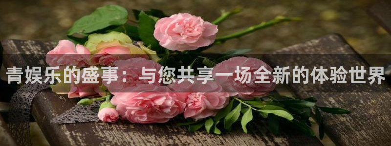 恩佐娱乐：青娱乐的盛事：与您共享一场全新的体验世界